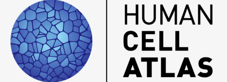 HCA Data Portal